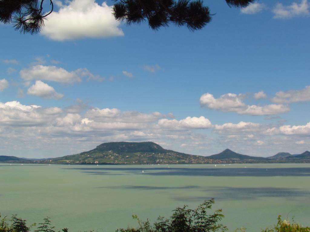 Balaton Wellness Apartman Siofok Phòng bức ảnh